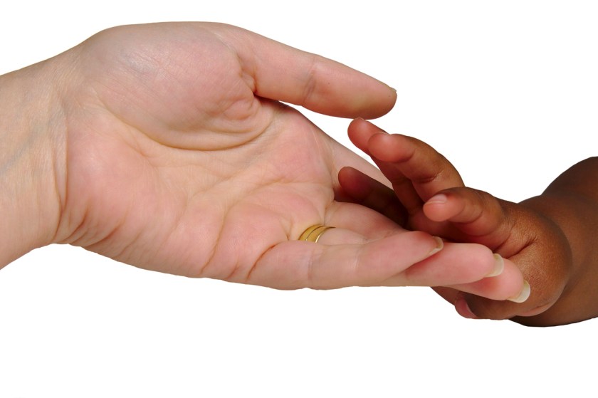 adoption-1631089-1279x853