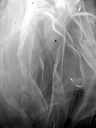 impending-veil-1499173-1279x1705