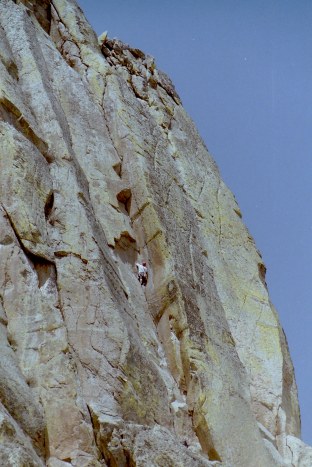 My beautiful picture